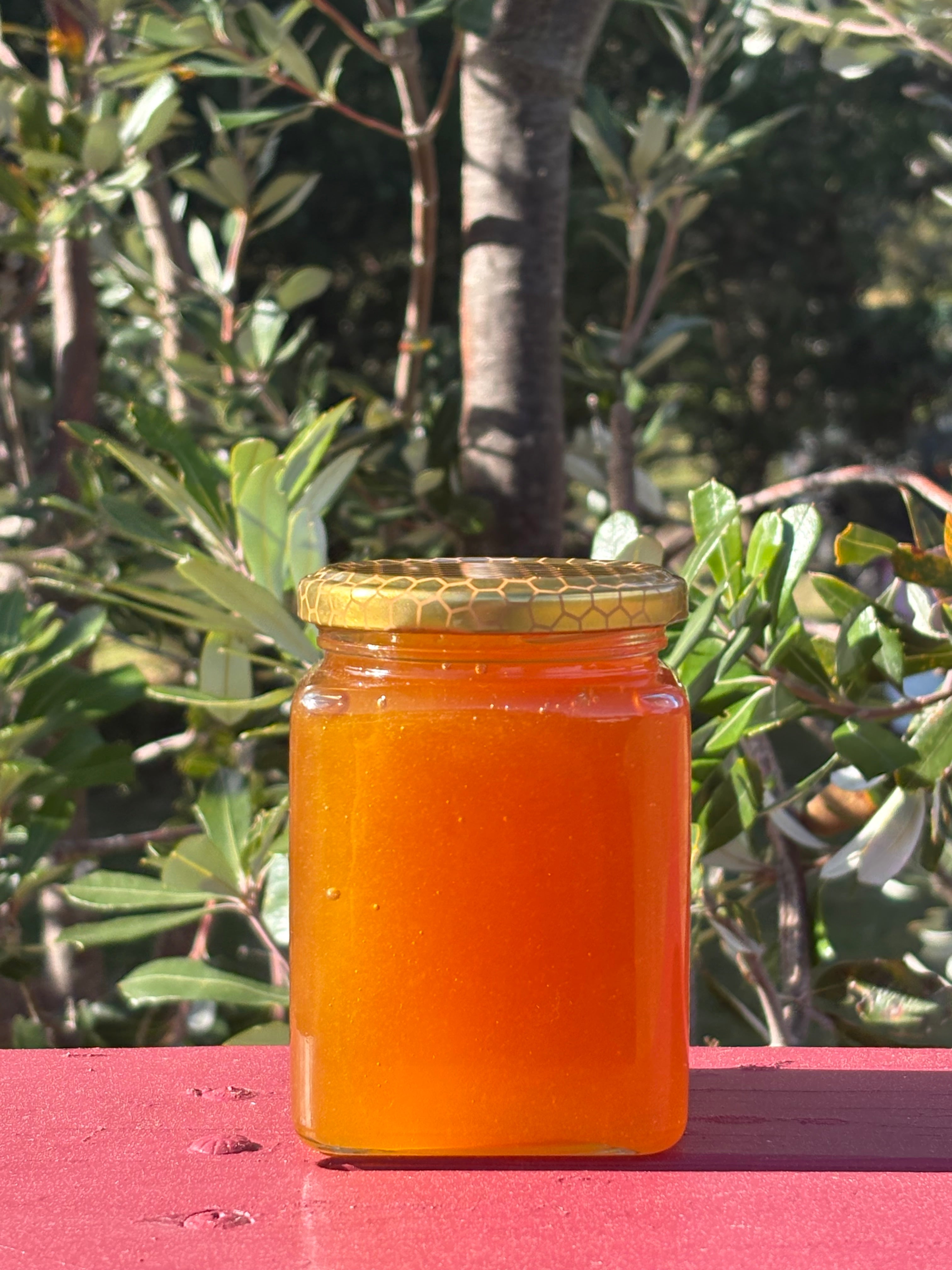 Raw Western Australian | York Gum Honey