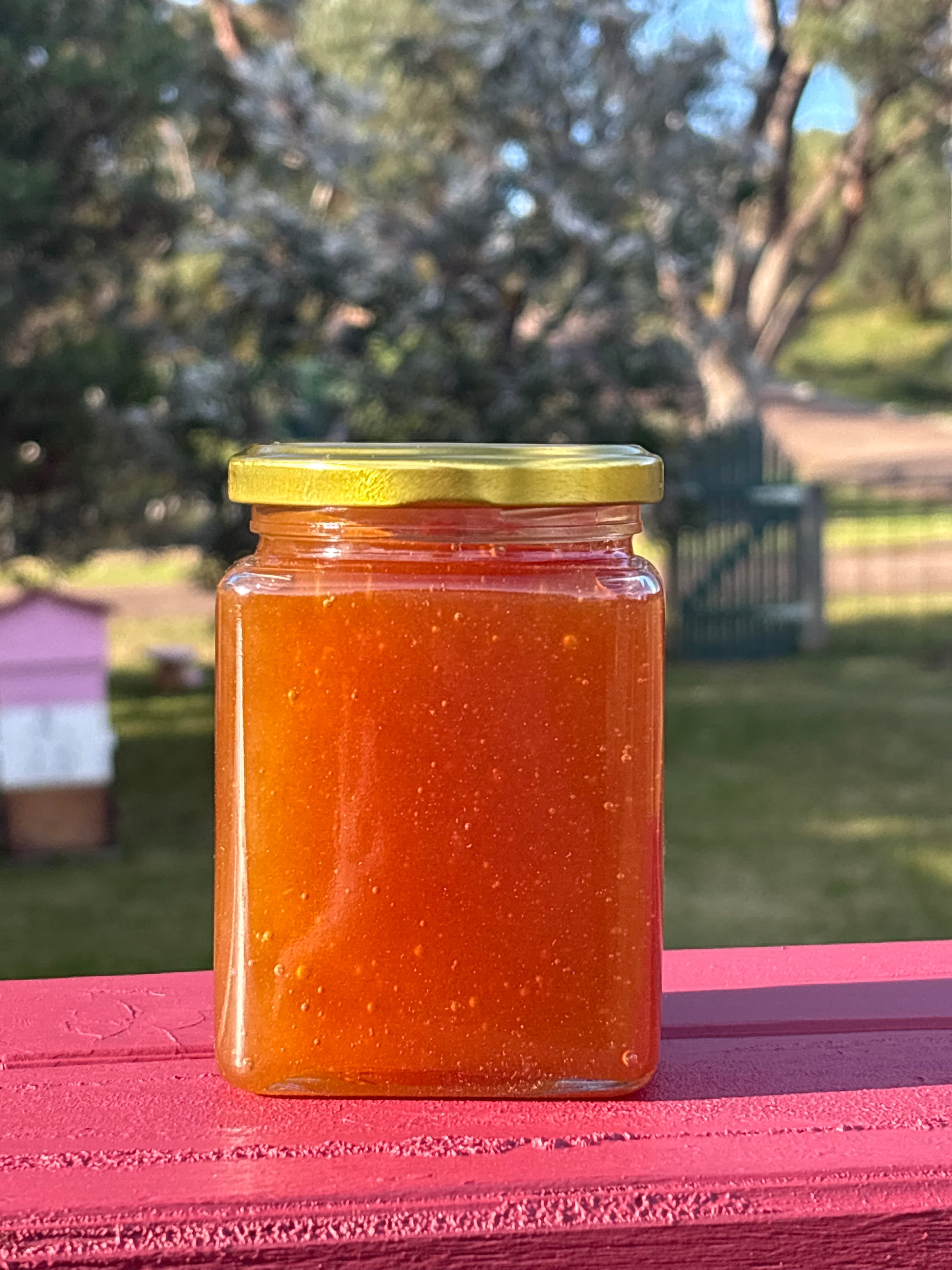 Raw Western Australian honey | Blackbutt TA35+